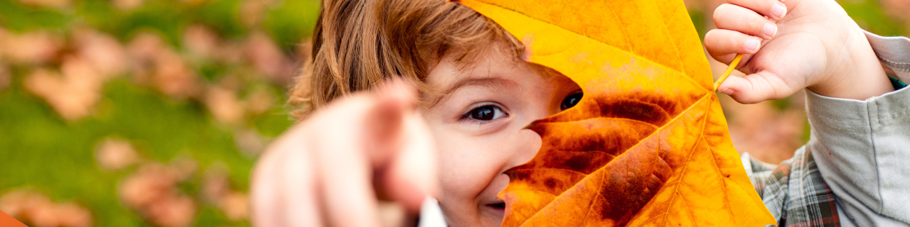 Herfstwandeling met Natuur-Bingo