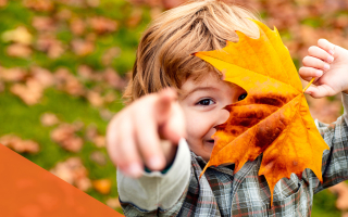 Herfstwandeling met Natuur-Bingo